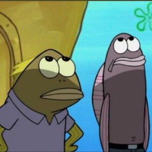 Meet your Posher, Avery